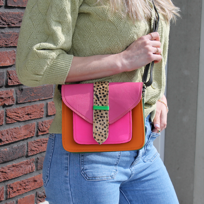 Multicolor Kanta bags